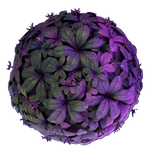 مغامرات