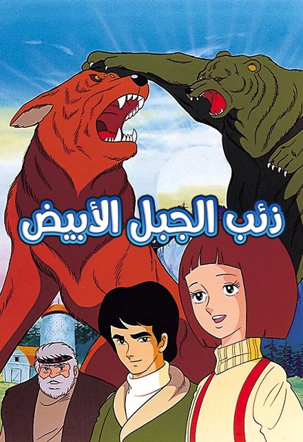 ذئب الجبل الأبيض
